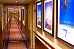 Star Pride Gallery Image